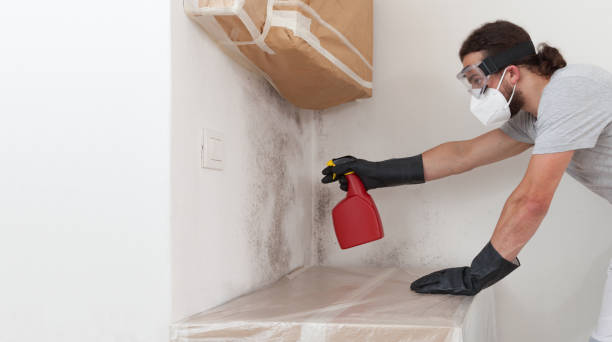 Professional Mold Removal technician working in Stokes, NC